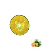 Calamansi Puree Shelf Stable