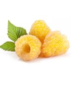 Golden Raspberry Puree Shelf Stable