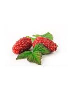 Tayberry Puree Shelf Stable