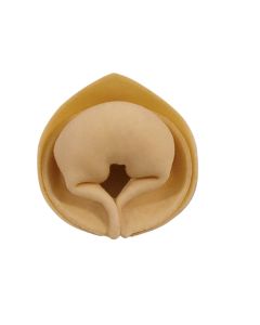 Veal Tortelloni